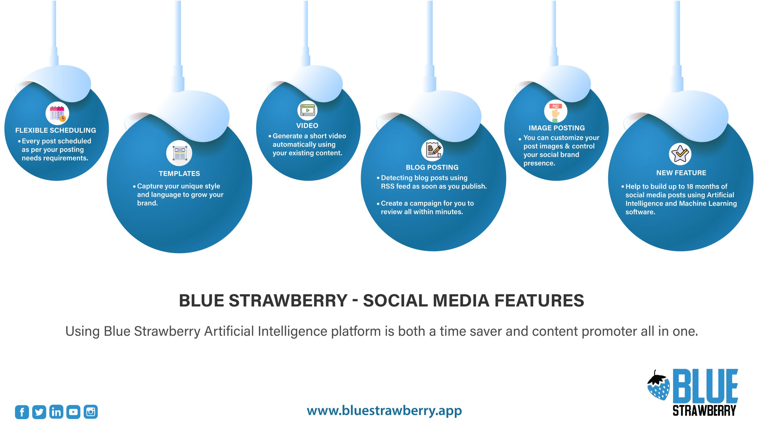 Blue Strawberry - Social Media Features Infographic