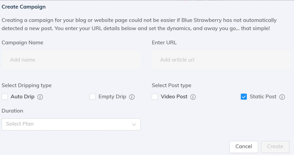 Manual Campaign Creation and Management in Blue Strawberry